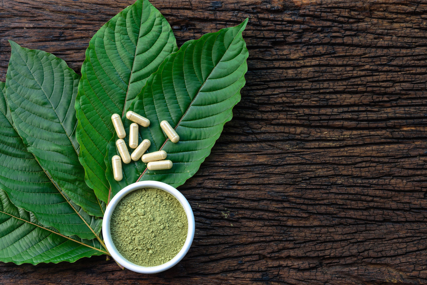 Kratom Extract vs. Powder: What's the Difference? | The Apopka Voice